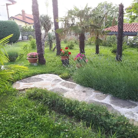 Palma - App Palma & Figa Apartman *