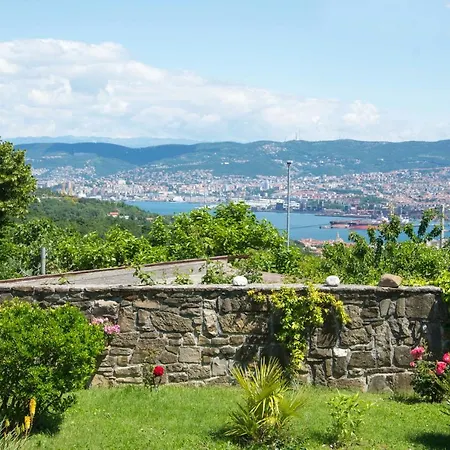 Palma - App Palma & Figa