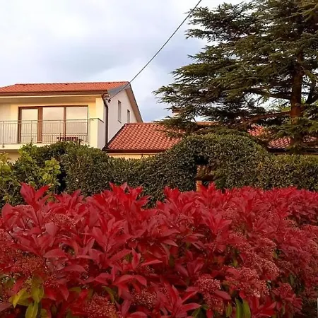 Palma - App Palma & Figa Apartman