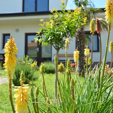 Palma - App Palma & Figa Apartman *