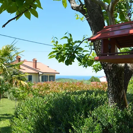 Apartman Palma - App Palma & Figa *