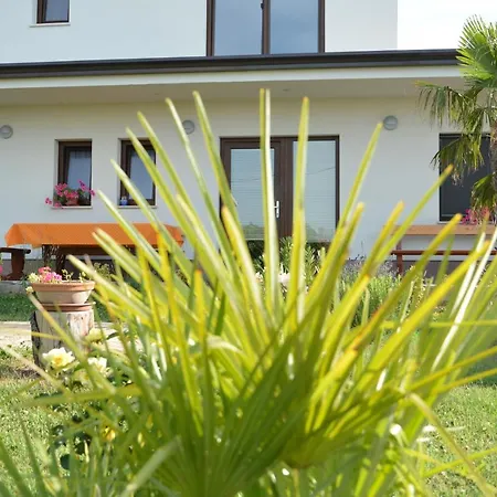 Palma - App Palma & Figa شقة