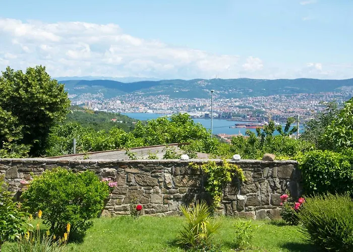 Palma - App Palma & Figa