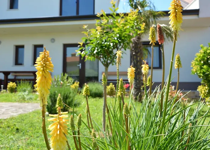 Palma - App Palma & Figa شقة *