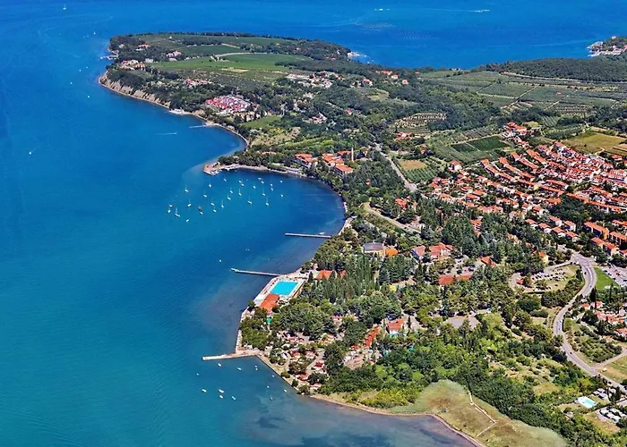 Palma - App Palma & Figa أنكاران