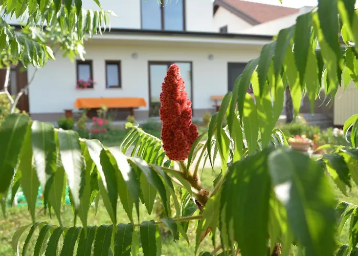 Palma - App Palma & Figa شقة