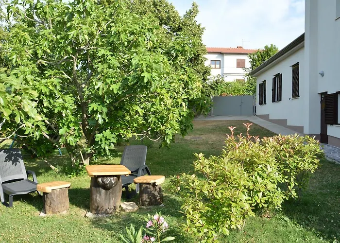 Palma - App Palma & Figa Ankaran